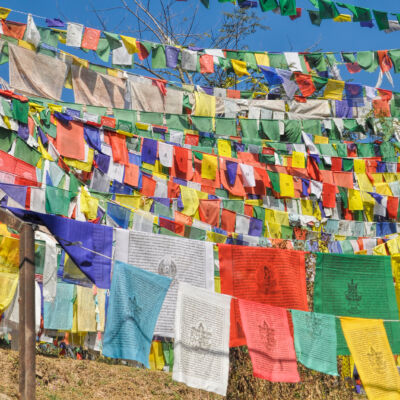 Buddhist Prayer Flags In Dharamshala, India