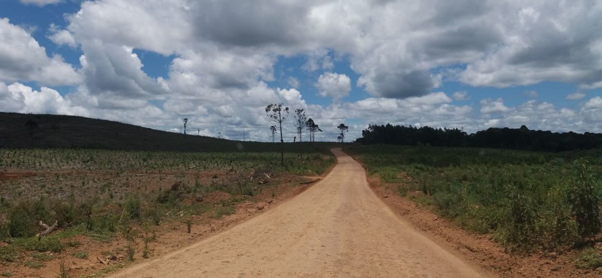 Foto HT 005 Yaka