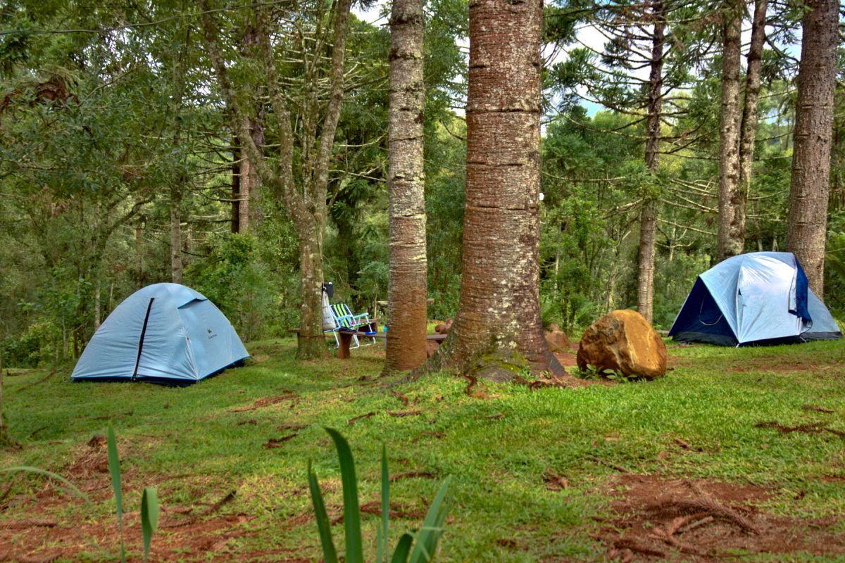 Camping in the woods